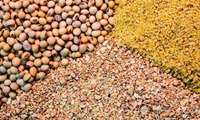 صادرات خوراک آبزیان از استان مرکزی به 6 کشور دنیا 